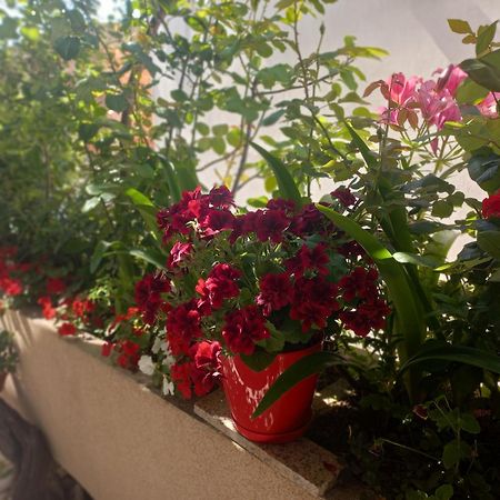 Apartments Gazi Улцинь Екстер'єр фото